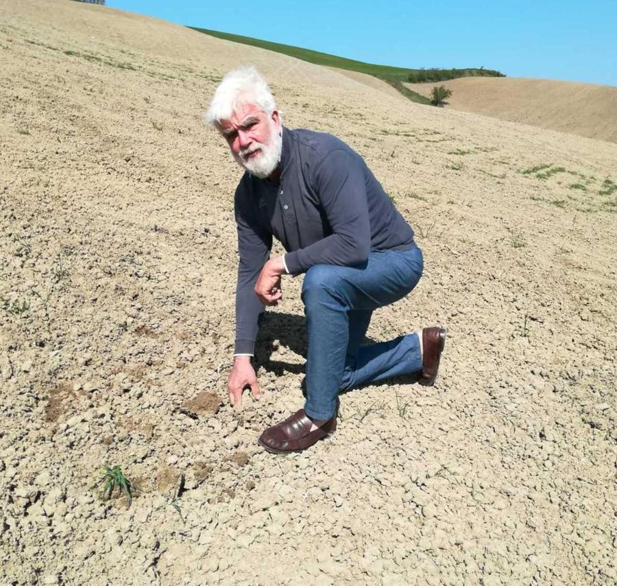 Appello a favore di Andrea Busetto Vicari (colpevole di battaglie agricole)