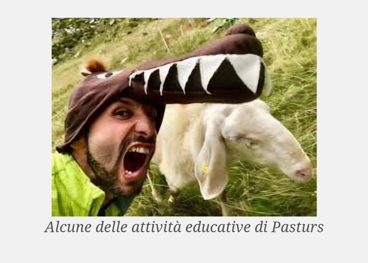 Il circuito non virtuoso dei Parchi. Il caso dell’Ossola e di Pasturs