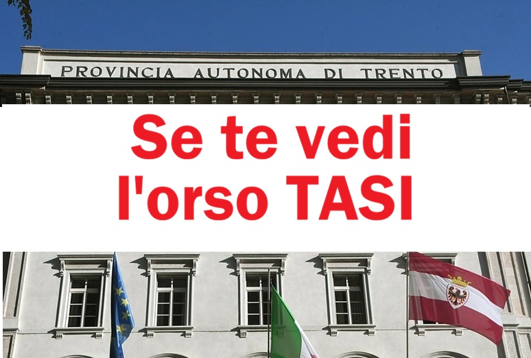 La reticenza della Provincia di Trento sugli orsi (e si deve pagare una app)